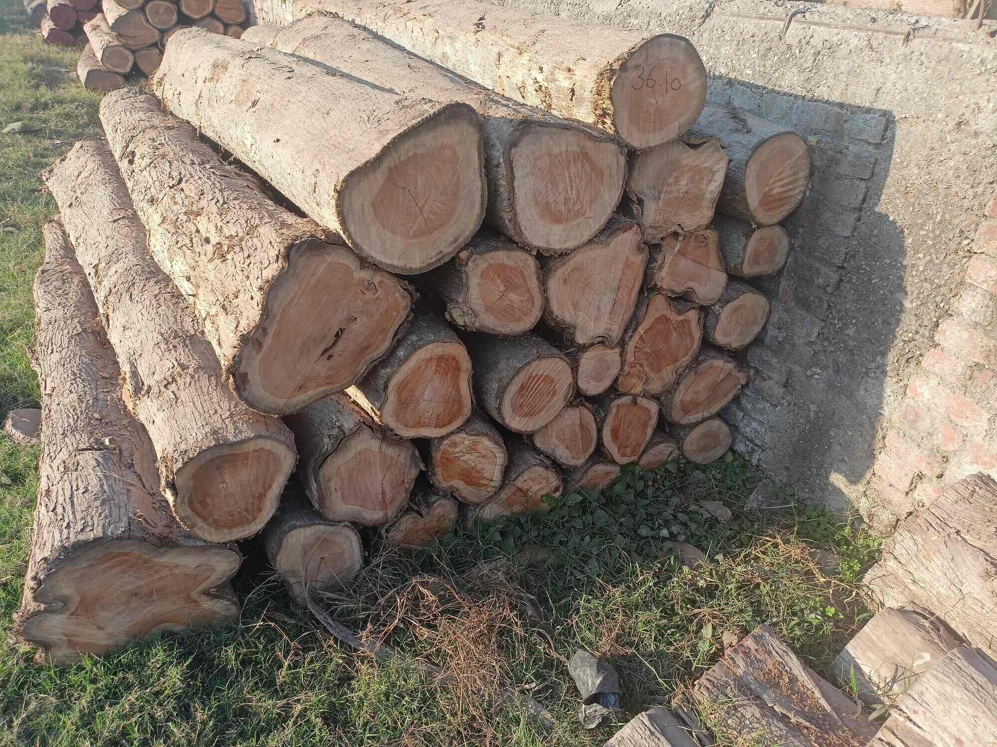 List of Top Furnitures On Rent in Moradabad Best Furniture On Hire