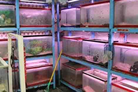 Fish tank shop hotsell