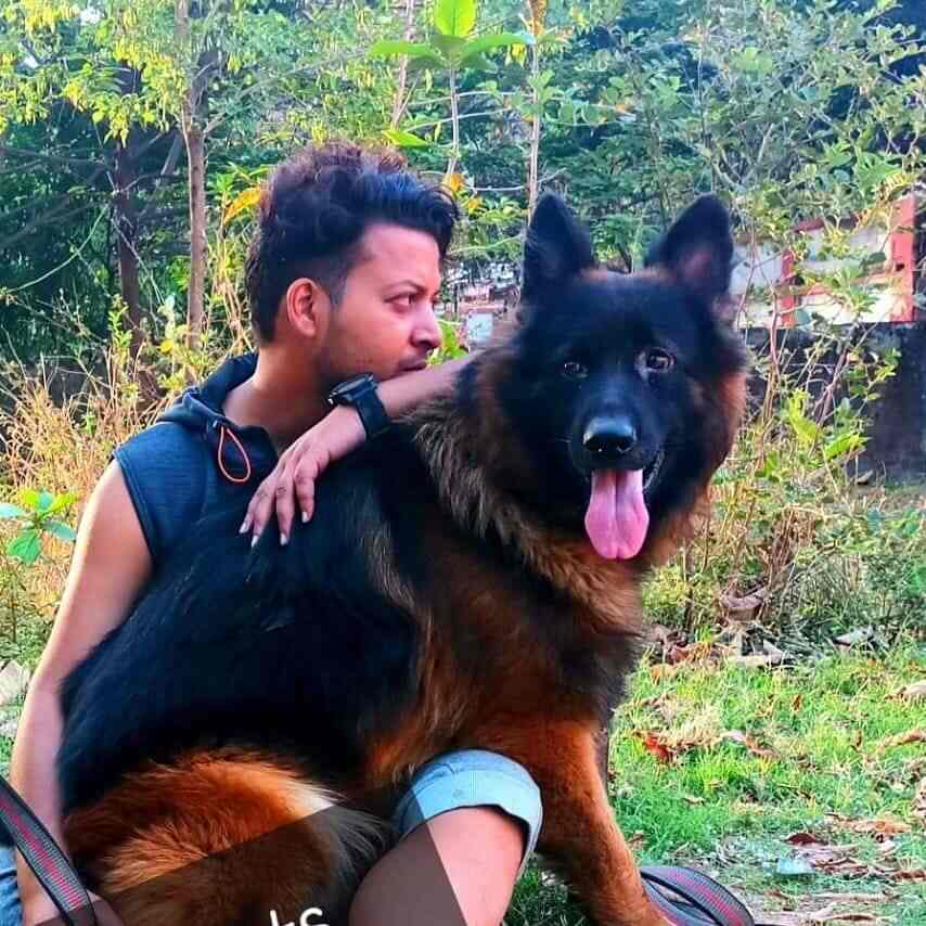 Are Dogs Allowed In Shops In Germany