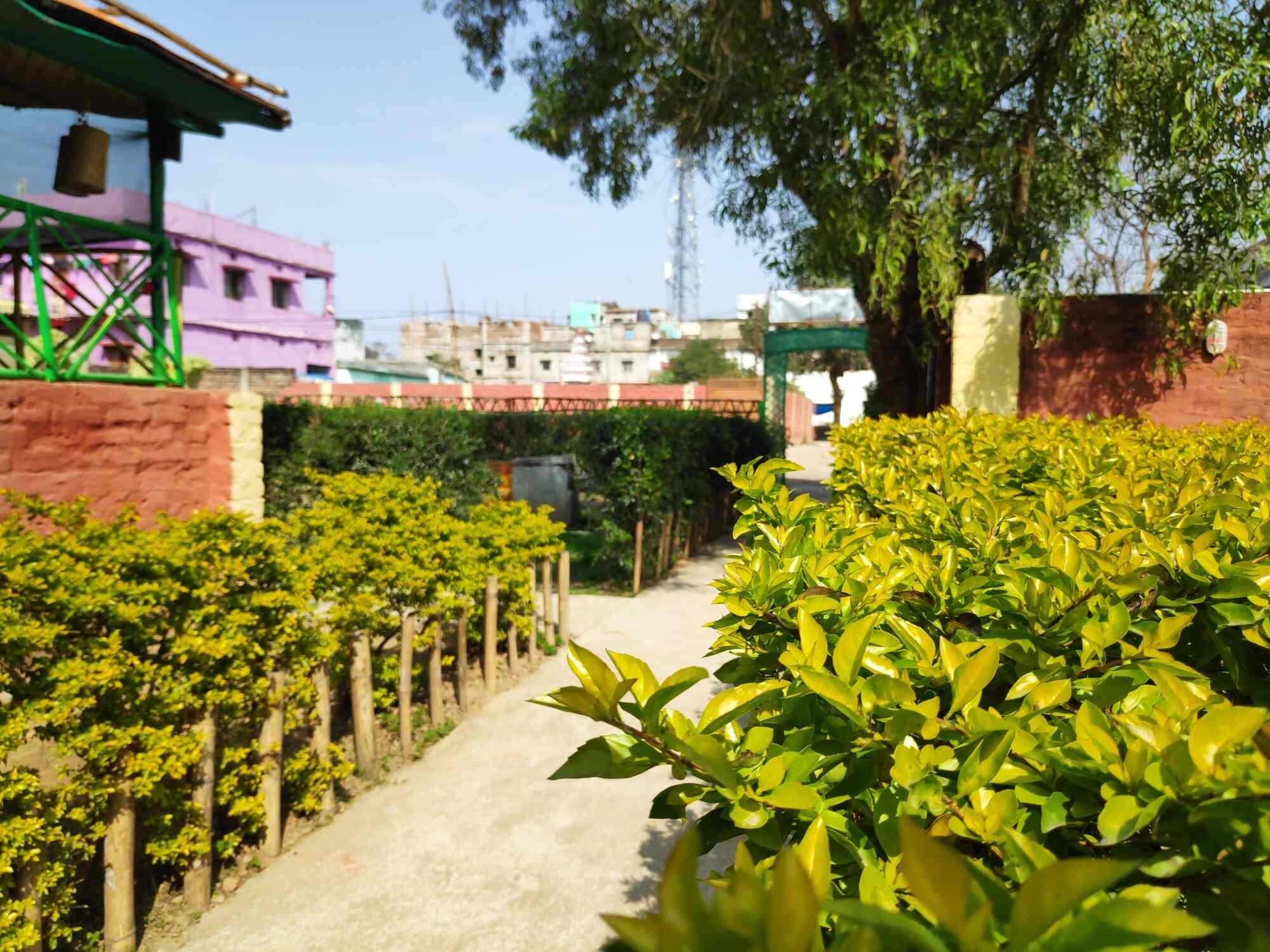 The Cocktail Restaurant in Chutia,Ranchi Order Food Online Best