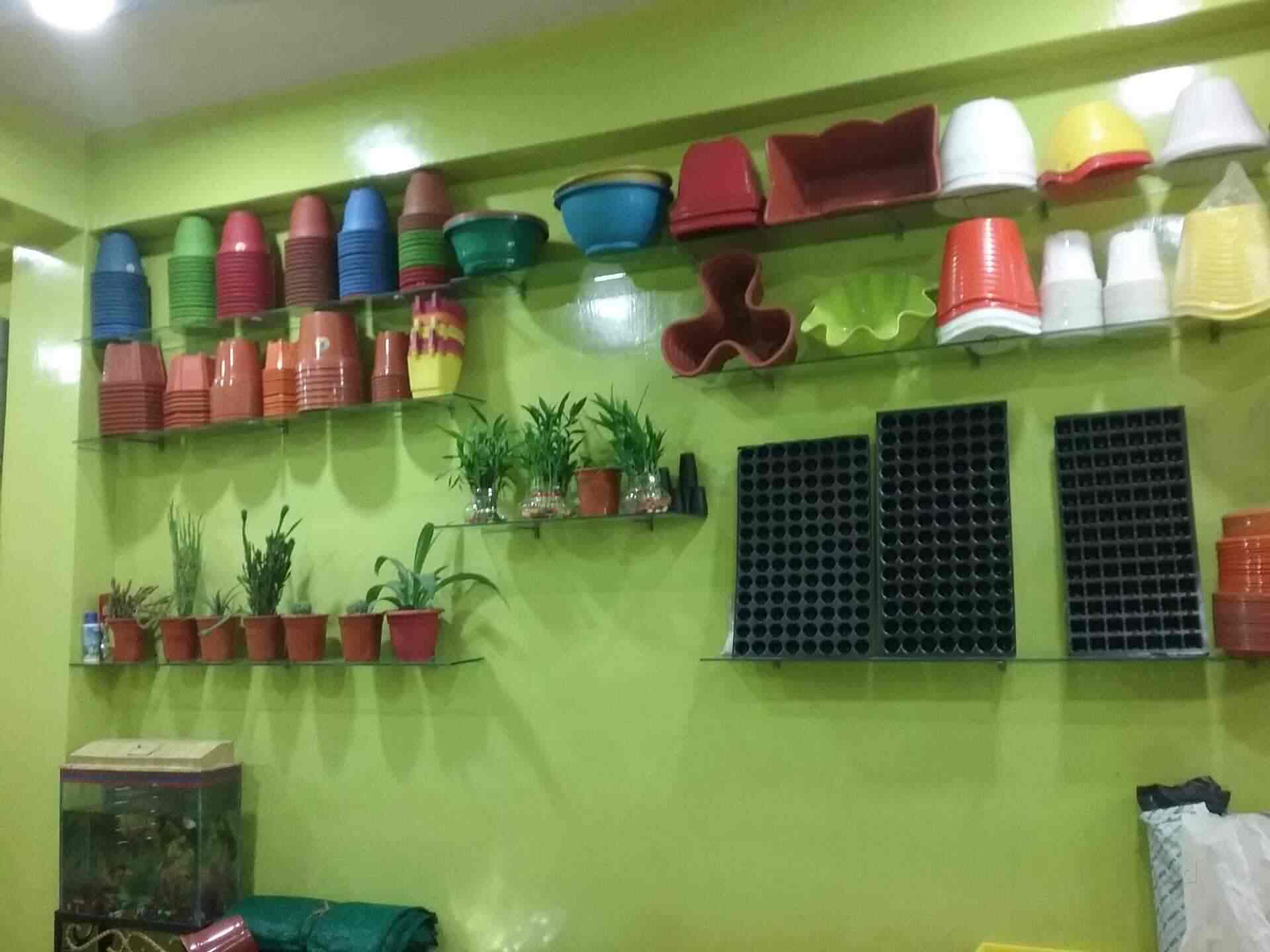 Greenery in Booti,Ranchi Best Plant Nurseries in Ranchi Justdial