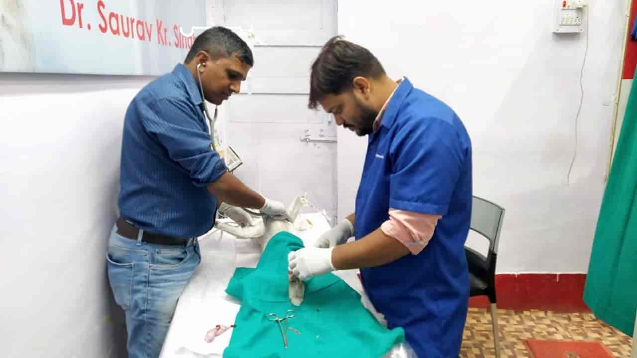 Top Pet Shops in Ranchi Best Pet Store near me Justdial