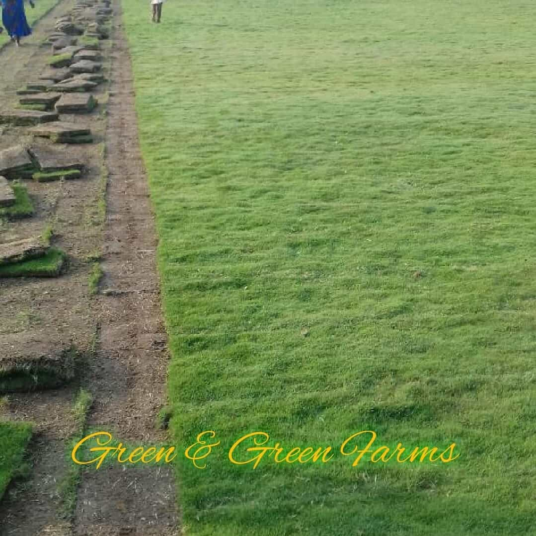 Green Landscapers in Ghatkesar,Hyderabad - Best Landscape Contractors ...