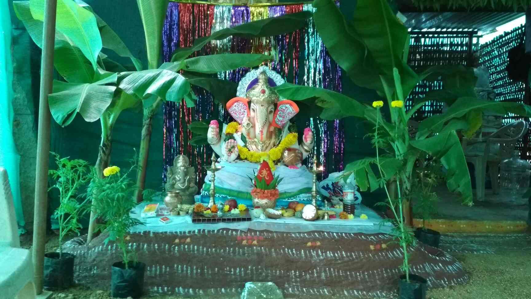 Top Fruit Plant Nurseries in Shamshabad Best Custard Apple Plant Dealers Hyderabad near me