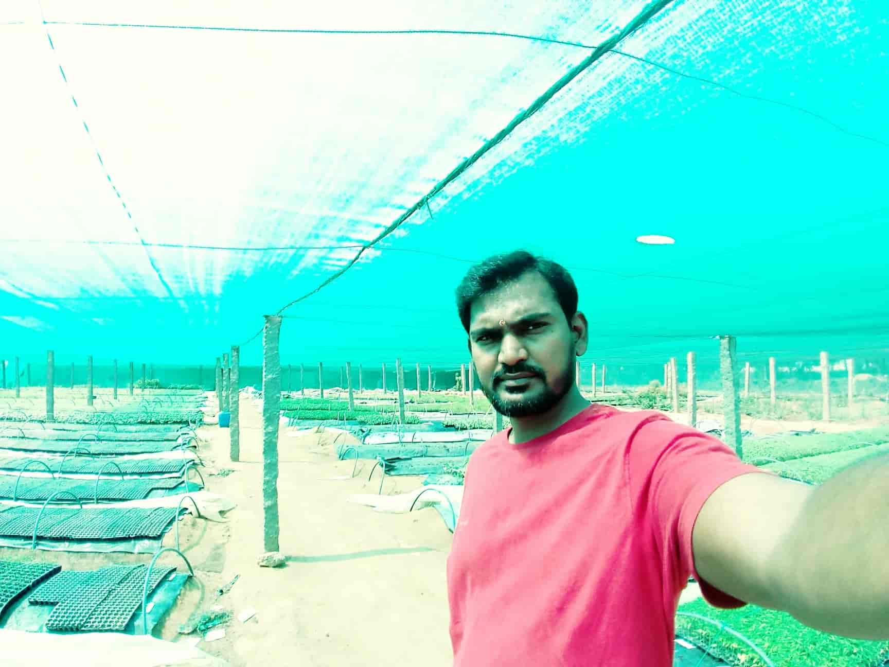 Top Fruit Plant Nurseries in Shamshabad Best Custard Apple Plant