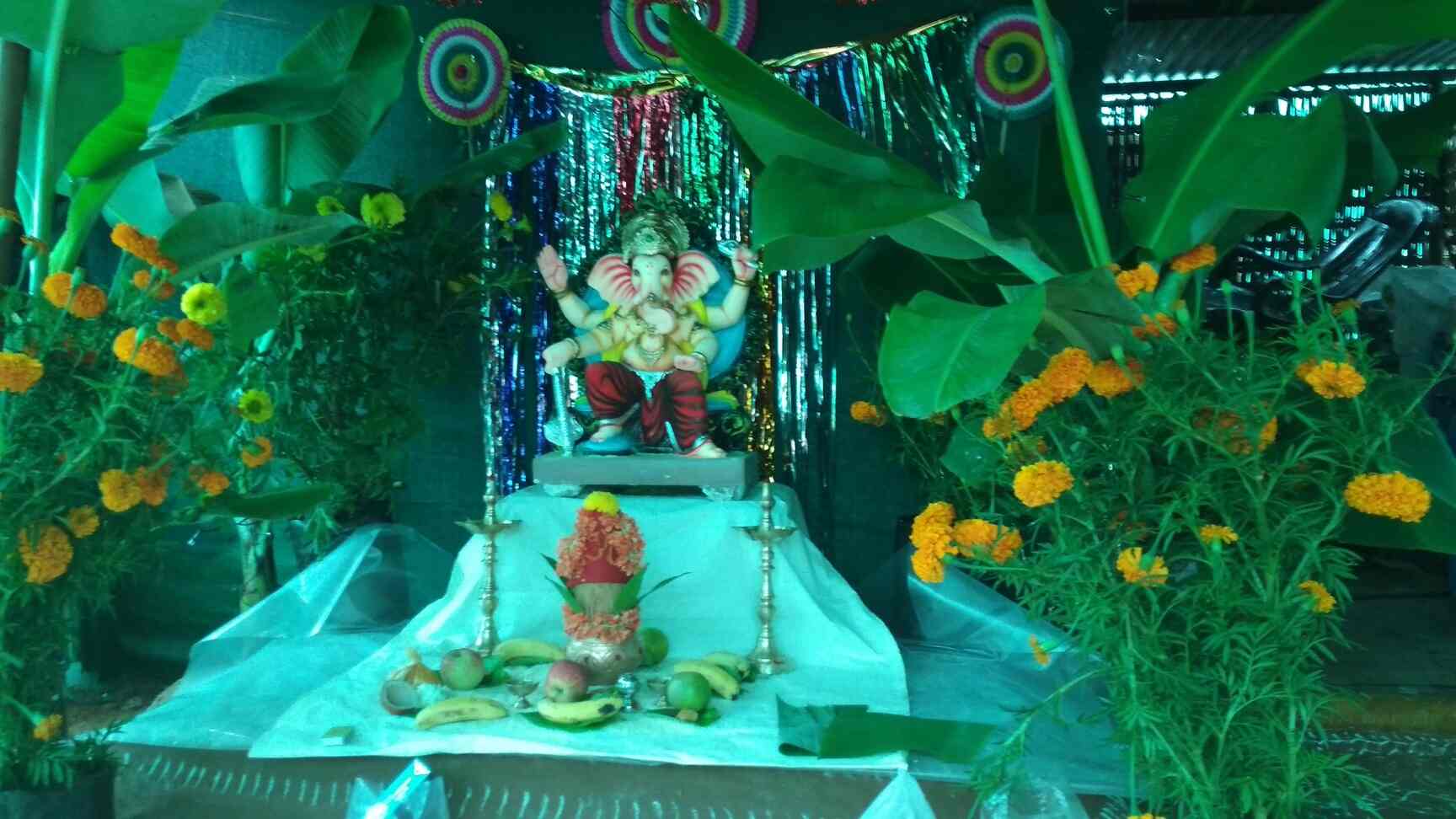 Top Fruit Plant Nurseries in Shamshabad Best Custard Apple Plant Dealers Hyderabad near me