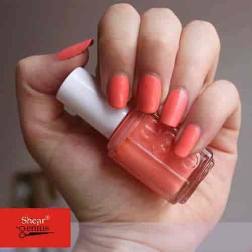 Shear Genius Salon in Kompally,Hyderabad Best Beauty Salons in Hyderabad Justdial