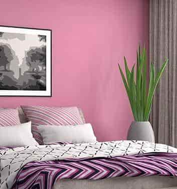 Kansai Nerolac Paints Limited Photos, Khed, Ratnagiri- Pictures & Images Gallery - Justdial Kansai Nerolac Paints Limited Photos, Khed, Ratnagiri- Pictures & Images Gallery - Justdial