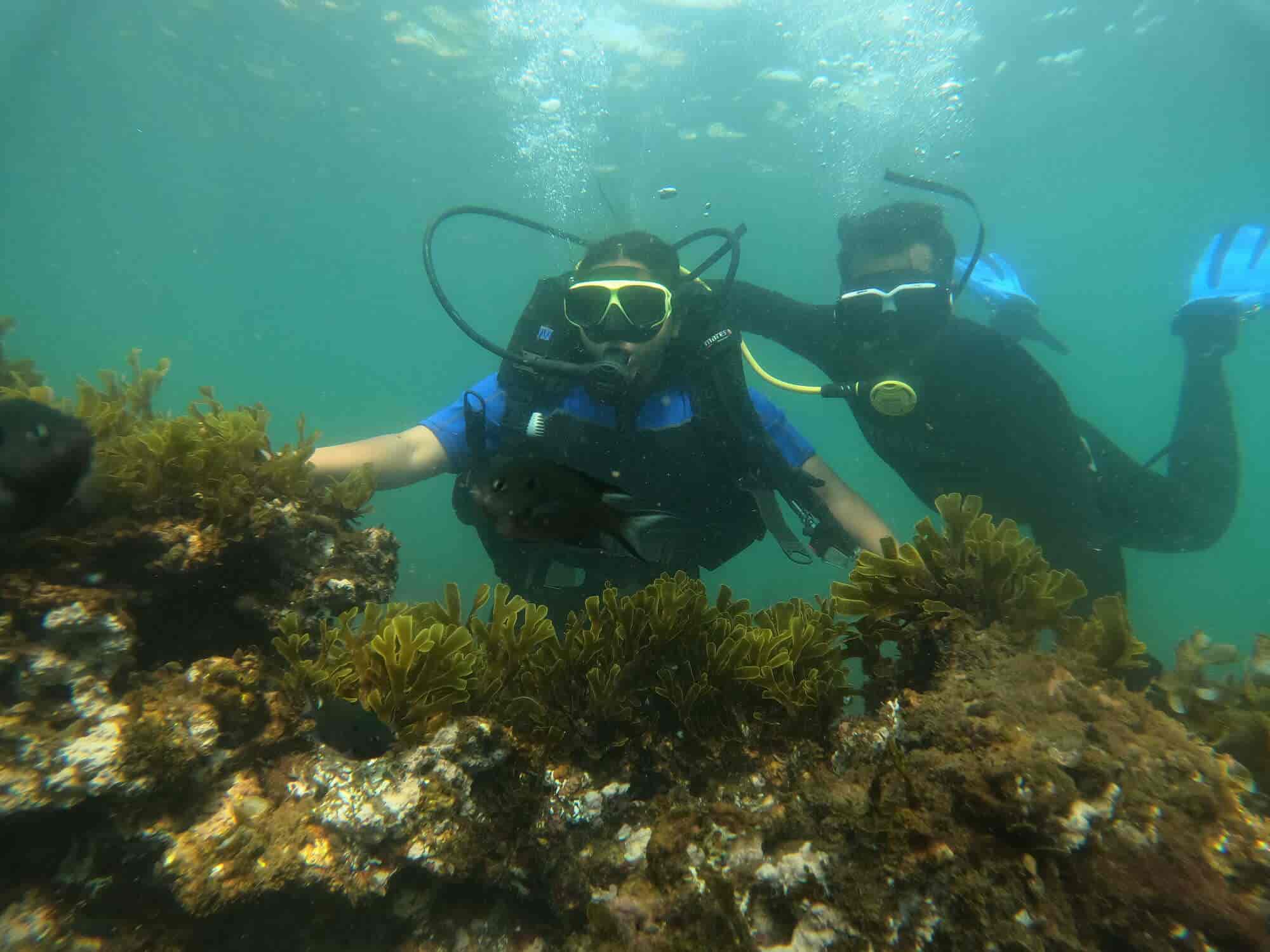 Top Scuba Diving Services in Ratnagiri - Best Scuba Diving near me -  Justdial