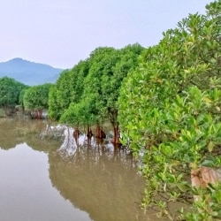 Slide 2 Image of Songaon Eco Tourism  Songaon, Ratnagiri