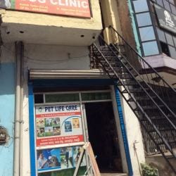 Pet Life Care Clinic in Kosli - Best Pet Clinics in Rewari - Justdial Pet Life Care Clinic in Kosli - Best Pet Clinics in Rewari - Justdial