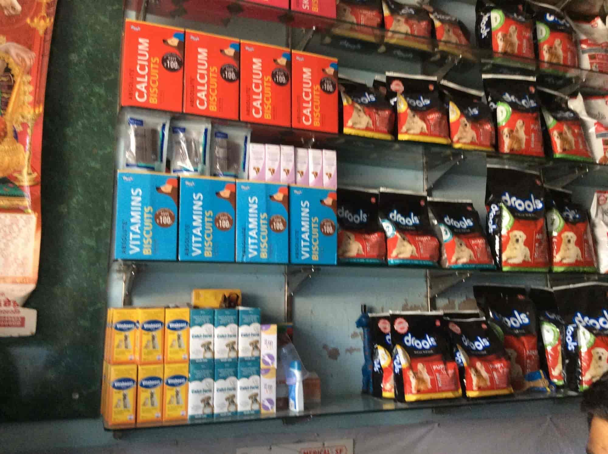 Top Pet Shops For Cat in Rewari Best Pet Shops For Kitten near me