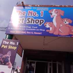 Best dog shop near me best sale