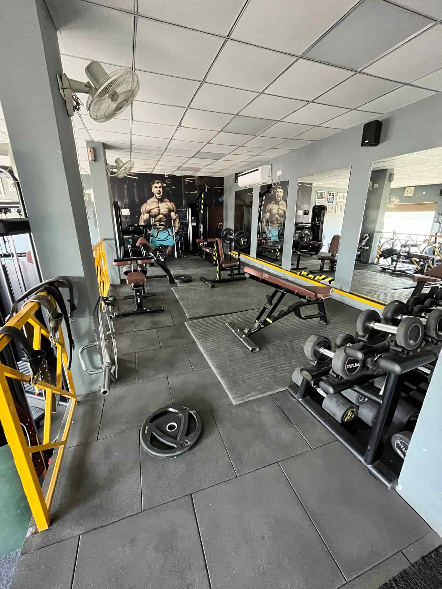 Prime Fitness Gym in Housing Board Colony,Rohtak Best Gyms in Rohtak