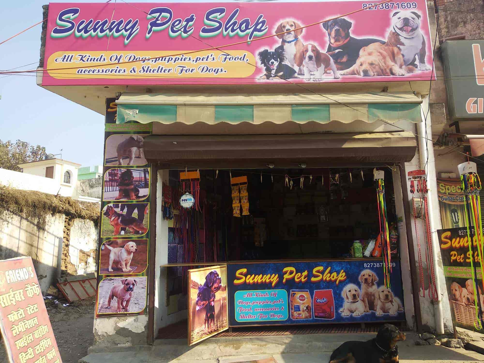 37 Photos of Sunny Pet Shop Closed Down in Ganeshpur Roorkee Justdial