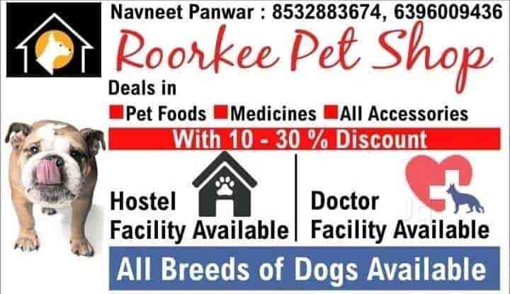 Hostel for 2025 dogs near me