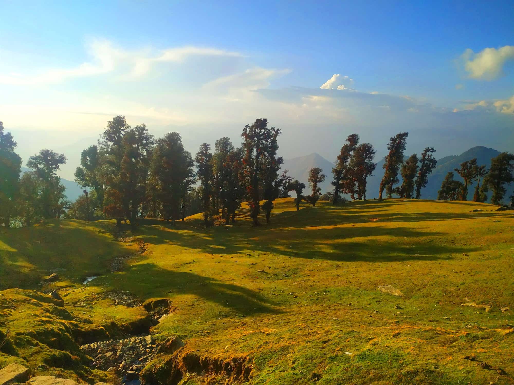 chopta tour package