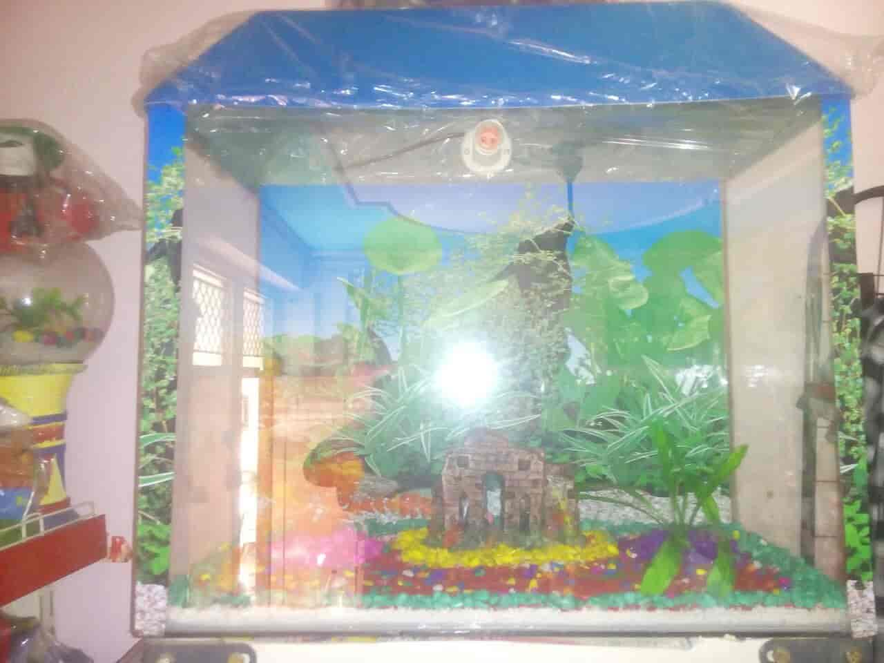 shalimar fish aquarium & pet shop