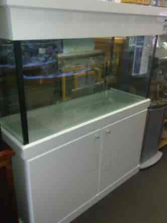 shalimar fish aquarium & pet shop