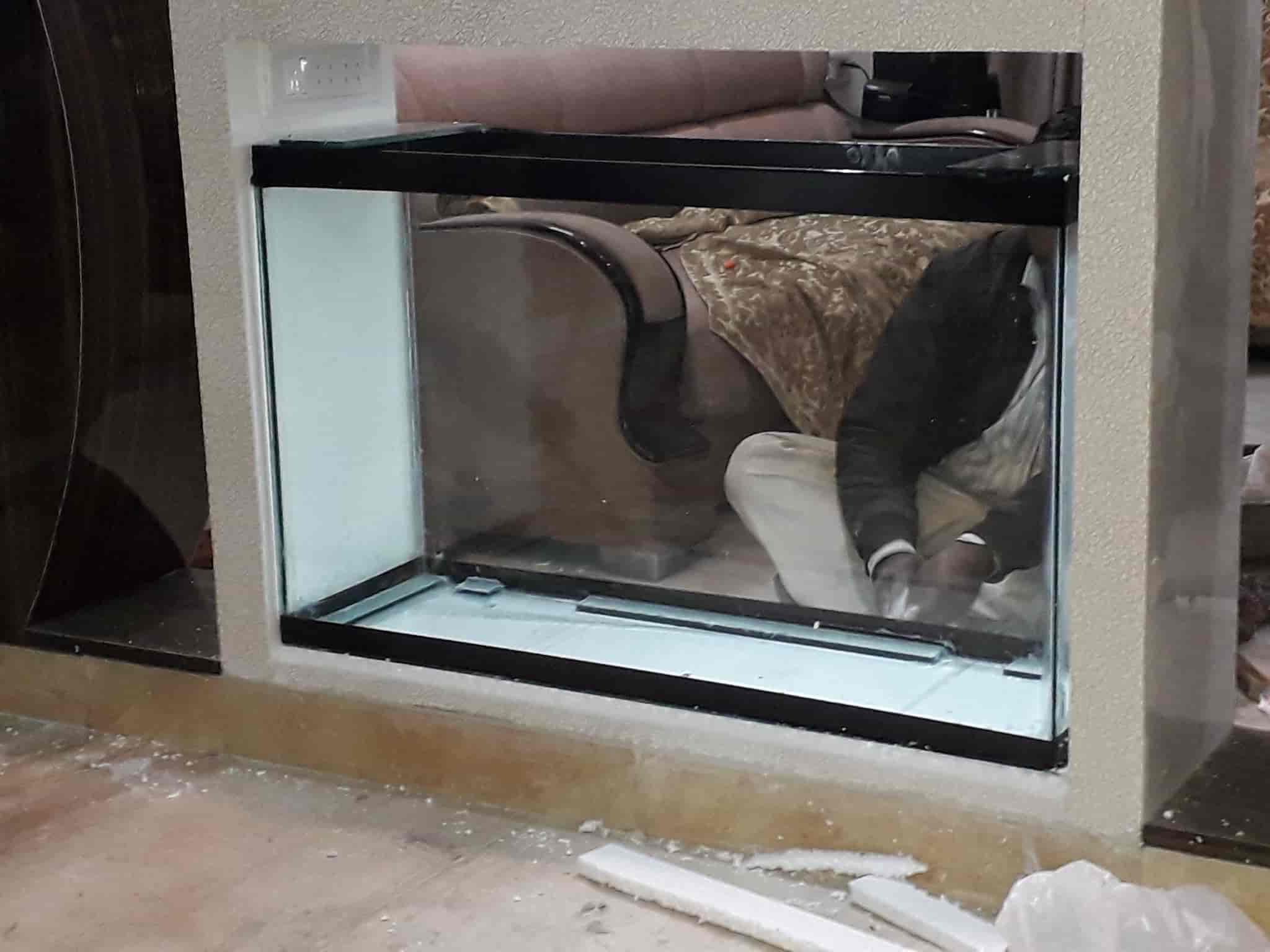 Top Aquariums in Geeta Colony Best Fish Tank Dealers near me Justdial