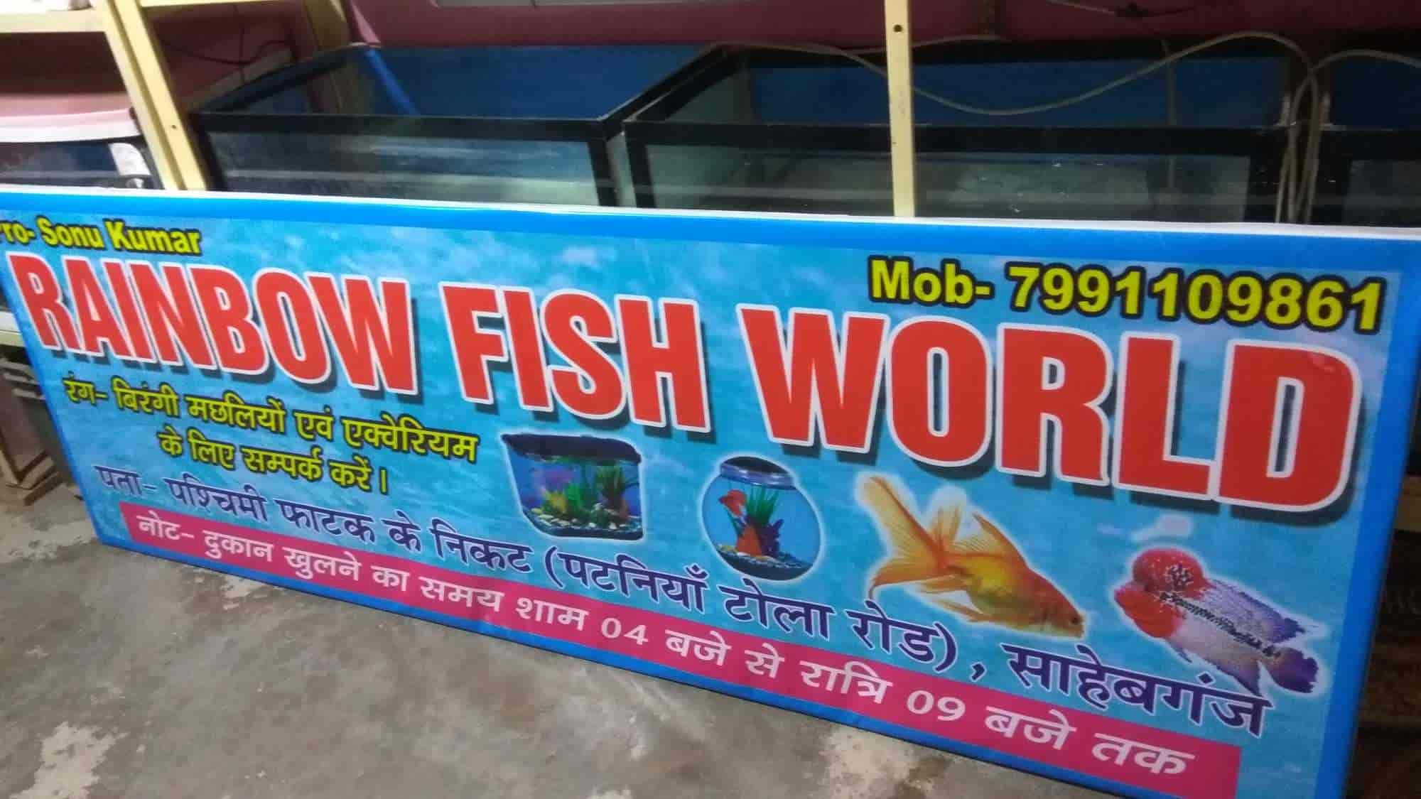 The Rainbow Fish World in Sakrogarh,Sahibganj - Best Aquariums near me in  Sahibganj - Justdial