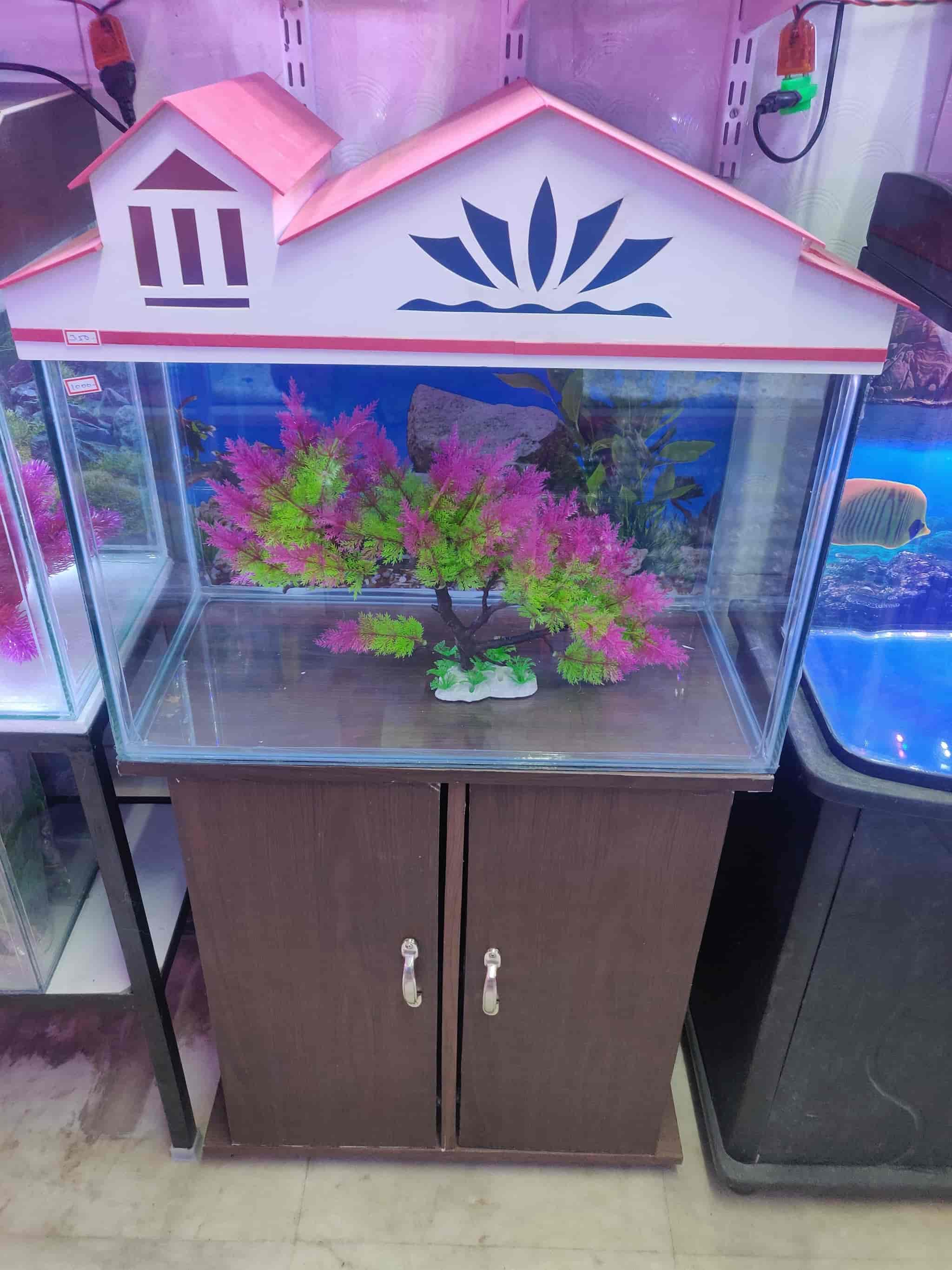 Top Pet Shops in Salem Best Pet Store near me Justdial