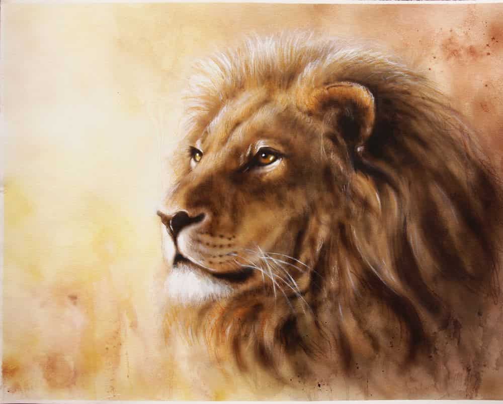 Royal Curtain in Opp Devi Hospital,Salem Best Shower Curtain Dealers