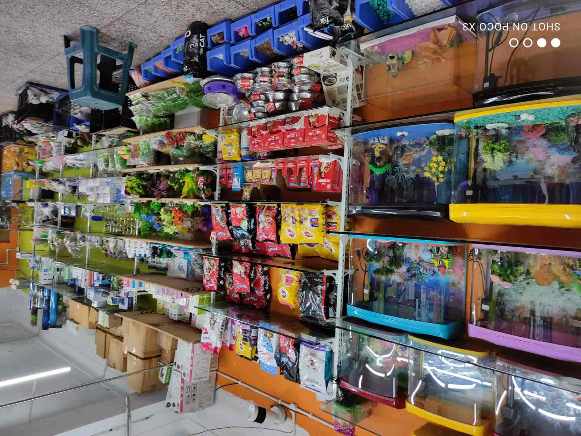 pet world store near me