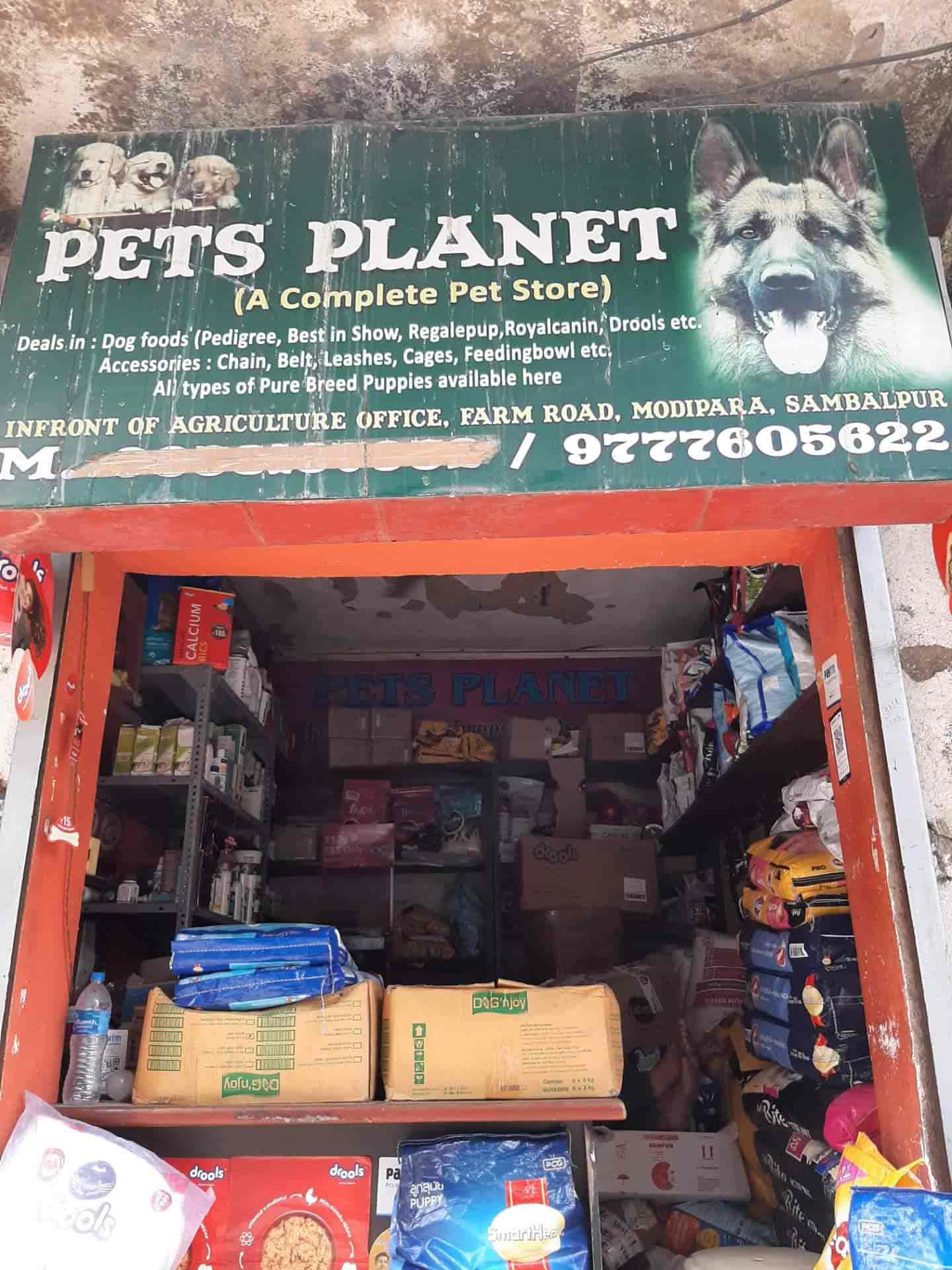 Pets Mudipara Pet Shops in Sambalpur Justdial