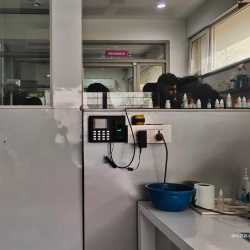Lab view 4