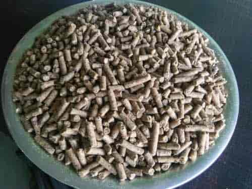 Top Iffco Kisan Cattle Feed Wholesalers in Ganganagar - Best Iffco Kisan Cattle Feed Wholesalers Sri-Ganganagar-Rajasthan - Justdial Top Iffco Kisan Cattle Feed Wholesalers in Ganganagar - Best Iffco Kisan Cattle Feed Wholesalers Sri-Ganganagar-Rajasthan - Justdial