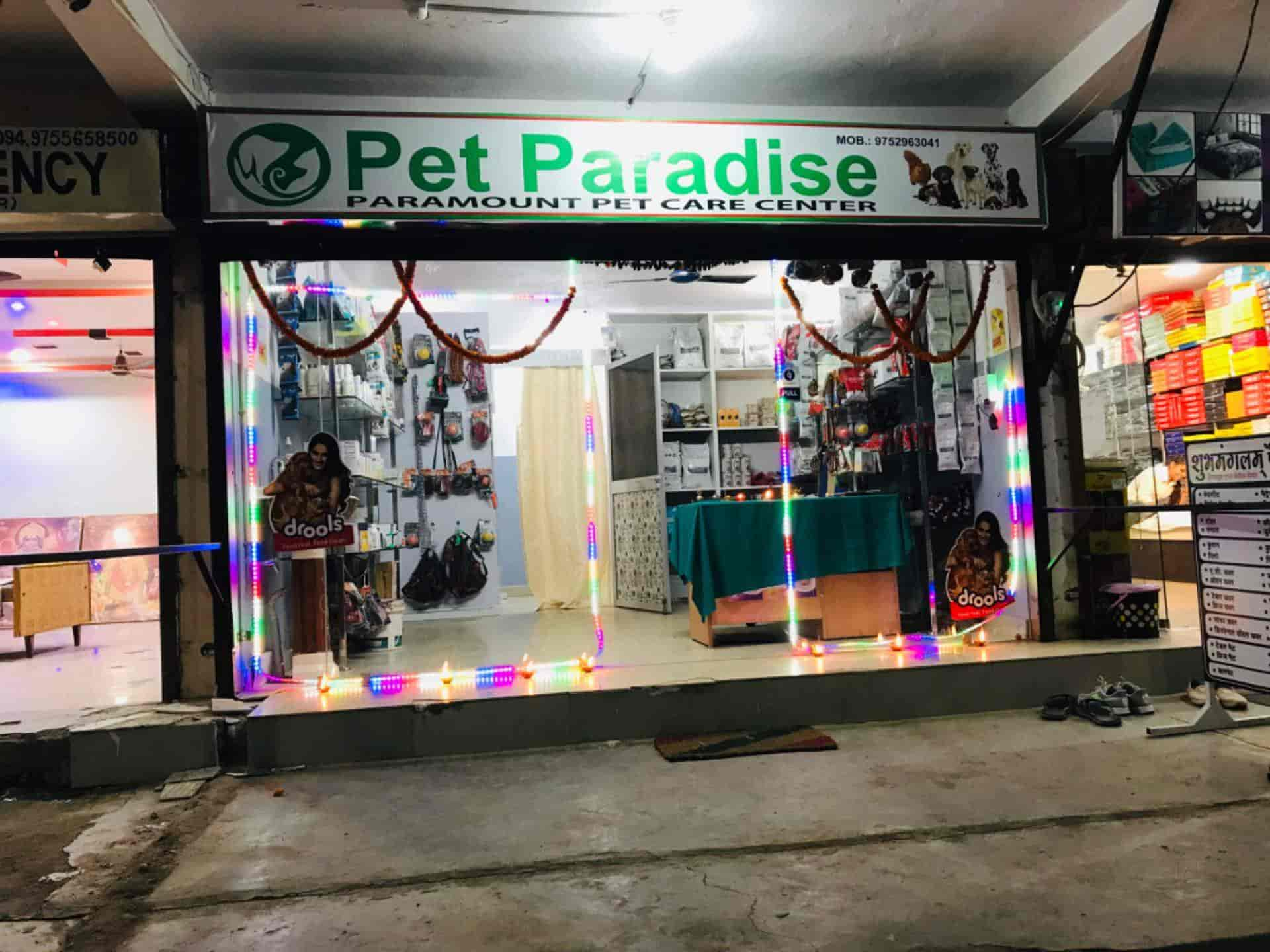 Pet Paradise in Civil Lines Satna Best Bird Treatment in Satna Justdial