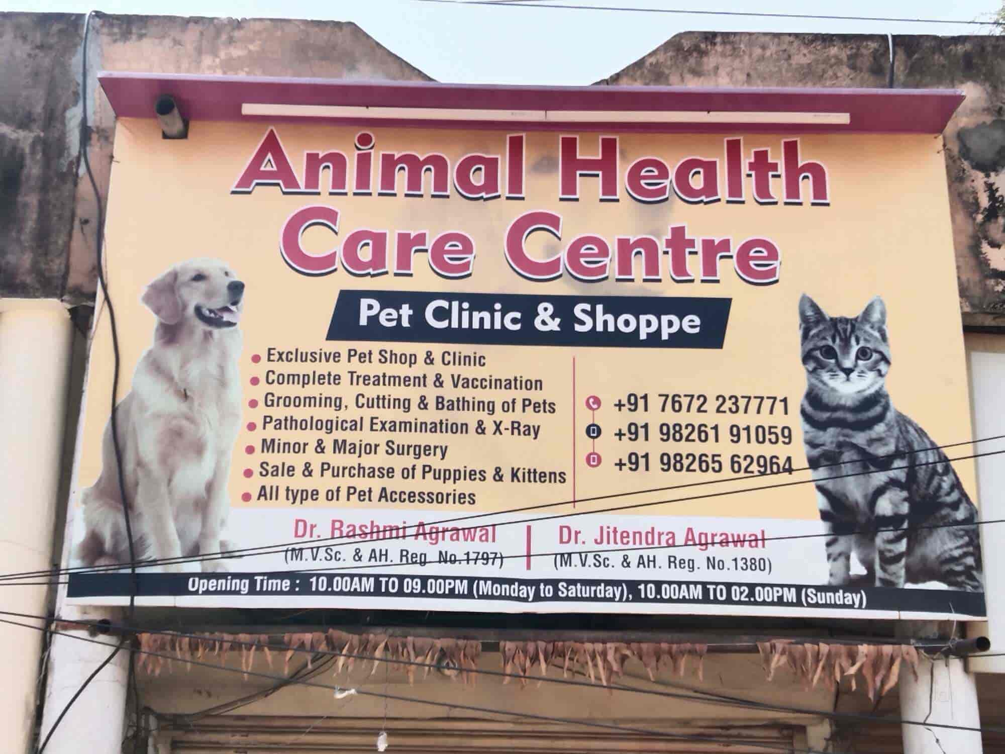 Pet Care Best Dog Clinic Near Me Best Dog Clinic Near Me Sales