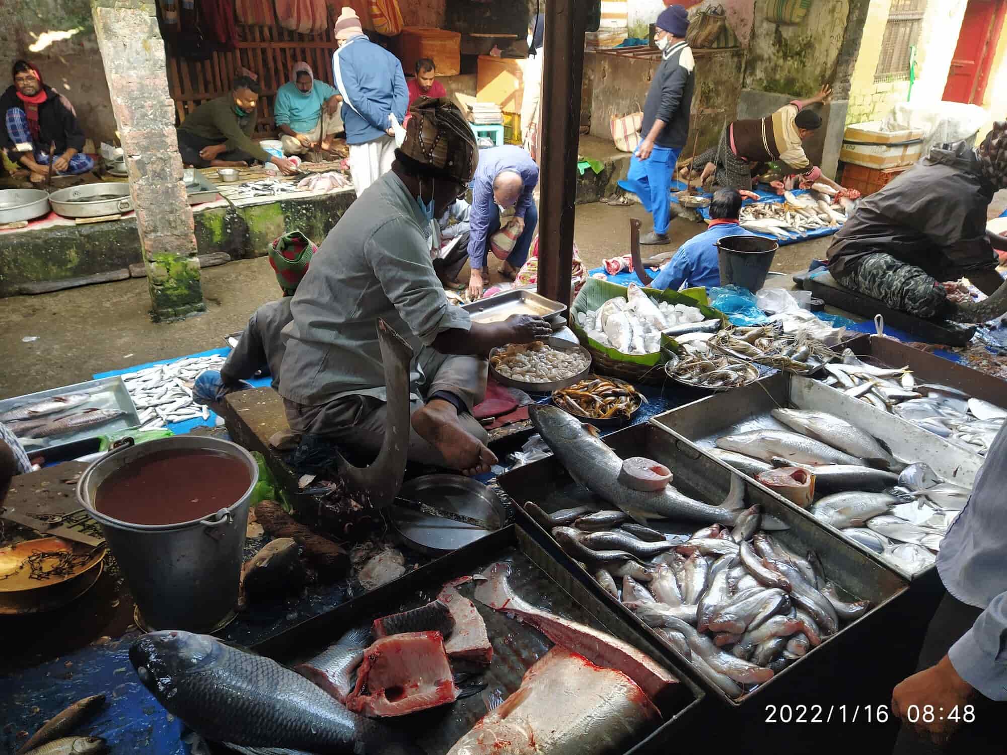 Sudhir Fish Shop in Serampore Hooghly Best Fish Retailers in