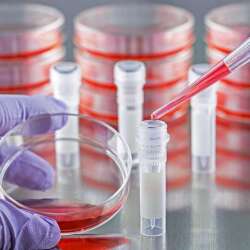 Lab Detail Image
