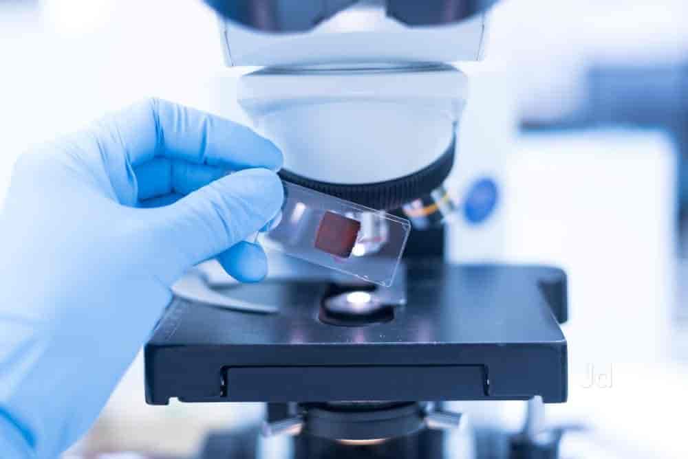 Lab view 12