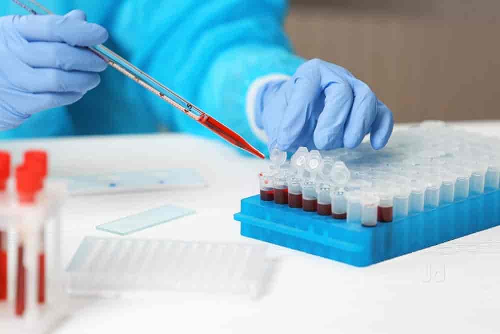 Find list of Oncquest Laboratories near Chinar ParkBaguiati, Kolkata