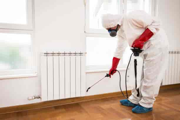 Commercial cockroach control service taking place in Woolwich property