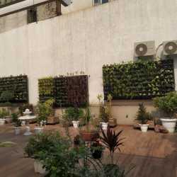 Top Home Gardening Services in Delhi - Best Home Garden Services ...