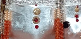 Baglamukhi Upasak Sunil Gur..