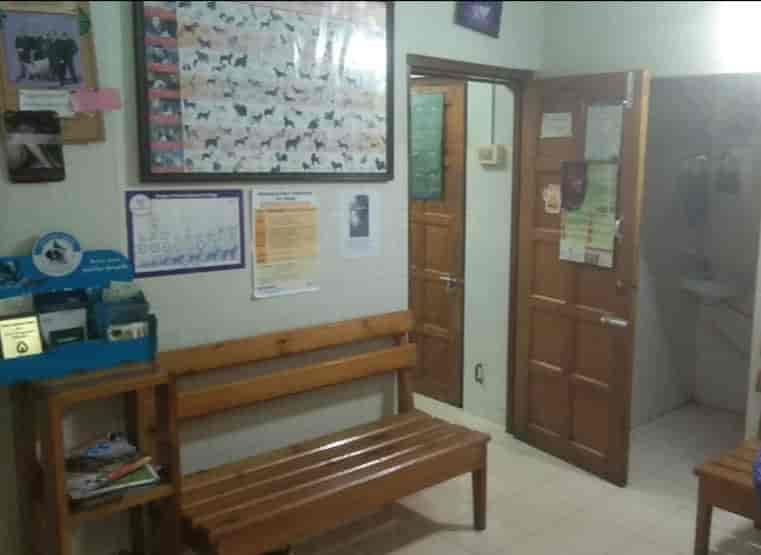 Animal Concern Veterinary Care in Nongthymmai,Shillong Best General