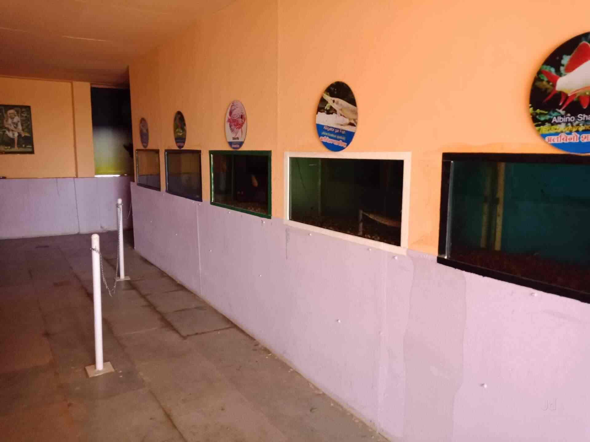 Top Fish Aquarium Dealers in Shirdi Best Fish Aquarium Shops Justdial