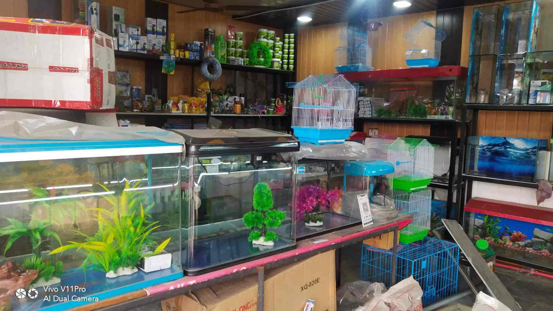 Top Fish Aquarium Dealers in Shirdi Best Fish Aquarium Shops Justdial