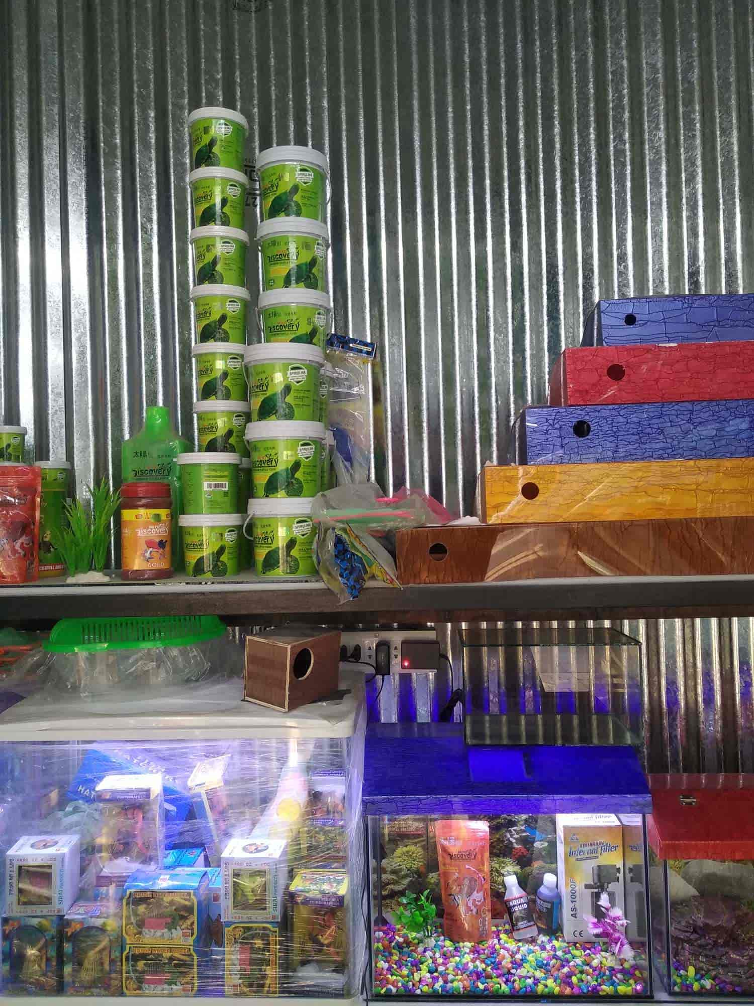 Top Fish Aquarium Dealers in Shirdi Best Fish Aquarium Shops Justdial