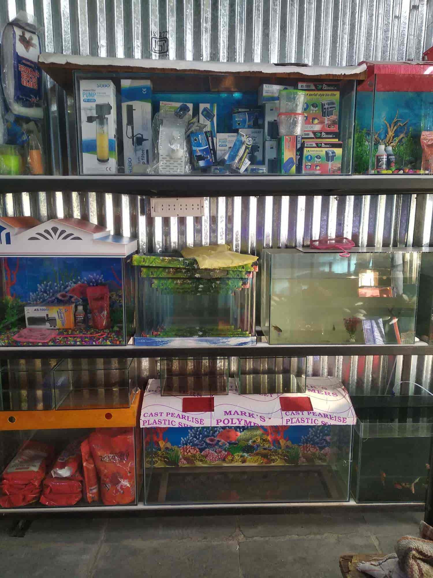 Top Fish Aquarium Dealers in Shirdi Best Fish Aquarium Shops Justdial