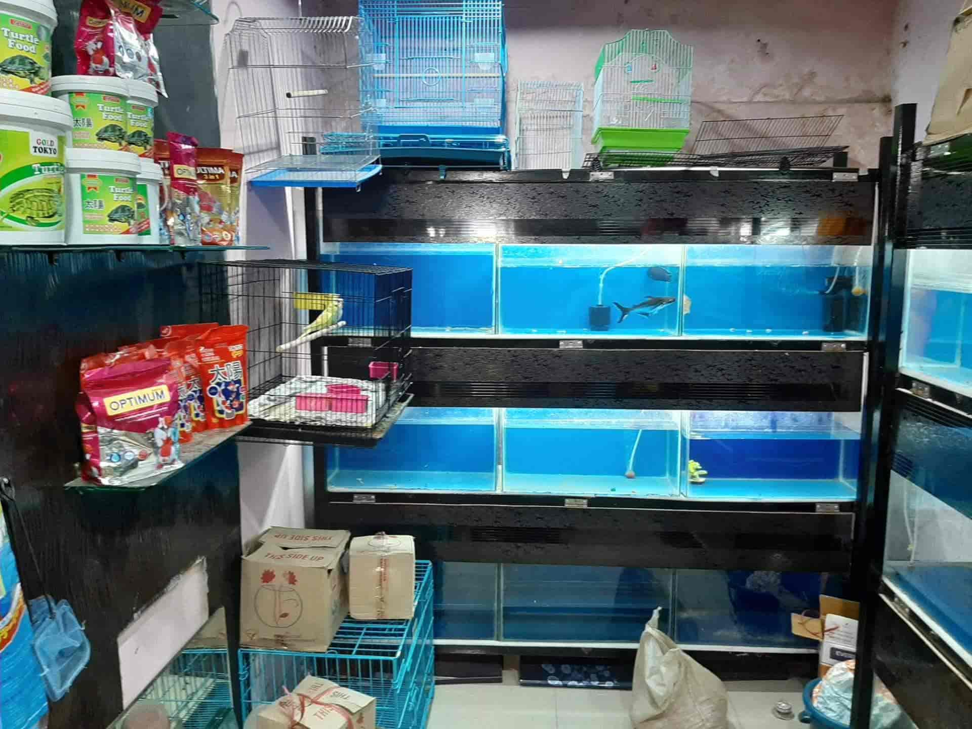 Top Fish Aquarium Dealers in Shirdi Best Fish Aquarium Shops Justdial