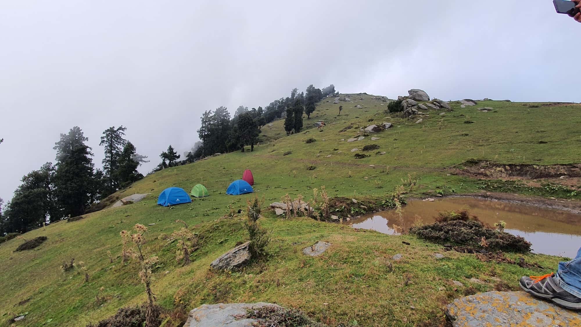 Churdhar Camping in Nohradhar,Sirmaur - Best Camping Grounds near me in  Sirmaur - Justdial