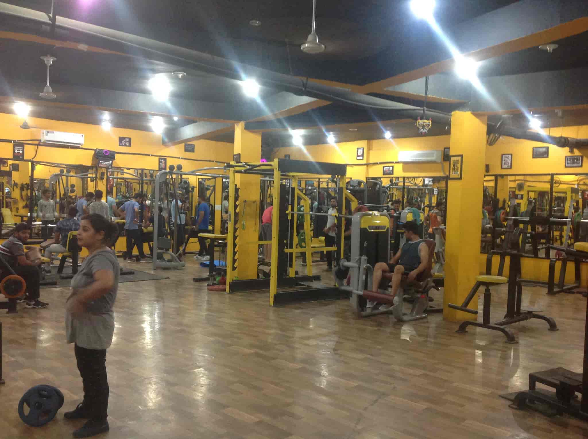 Zx Gym in Ram Colony,Sirsa-haryana - Best Gyms near me in Sirsa