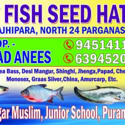 Top Fish Food Retailers in Sitapur Best Fish Feed Retailers Justdial