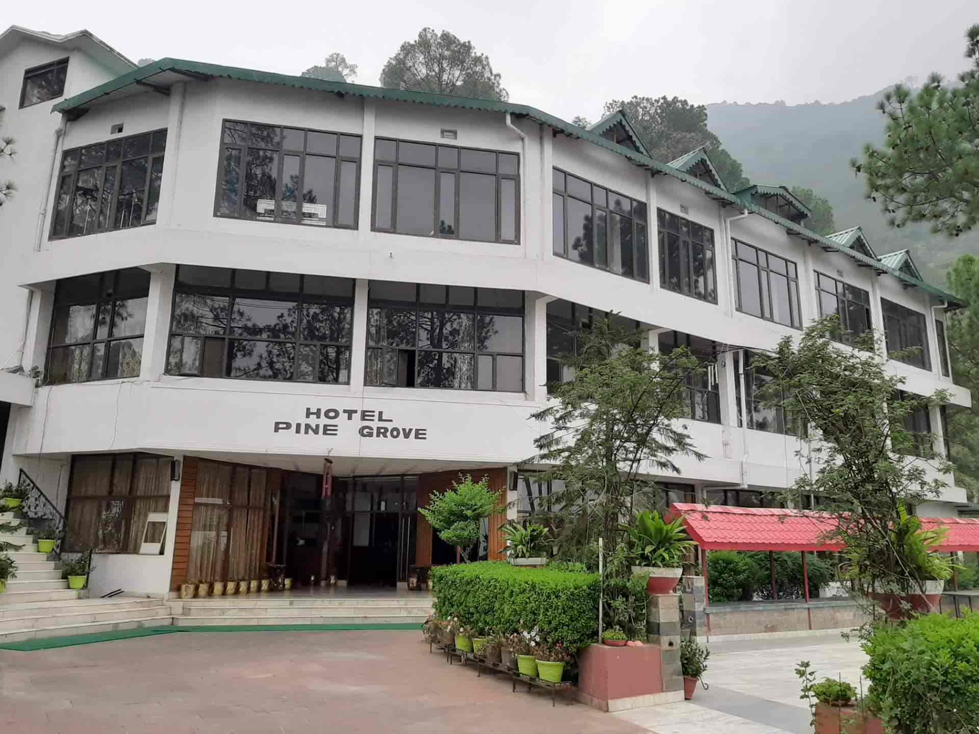 Book Hotel Pine Grove in Deoghat,Solan - Best Hotels near me in Solan -  Justdial